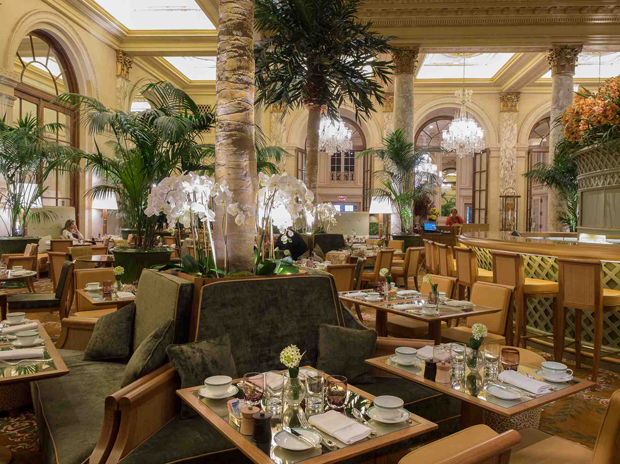 The Palm Court 2
